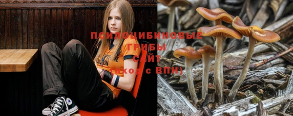 круглые Верхний Тагил
