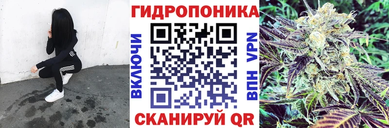 Шишки марихуана LSD WEED Отрадное